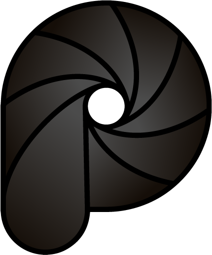 Logo officiel de Punch Lab